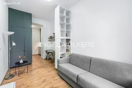 Pronájem bytu 1+kk 28 m² Lumírova, Praha - Nusle