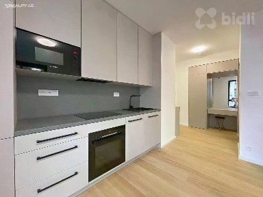 Pronájem bytu 1+kk 39 m² Závišova, Praha - Nusle