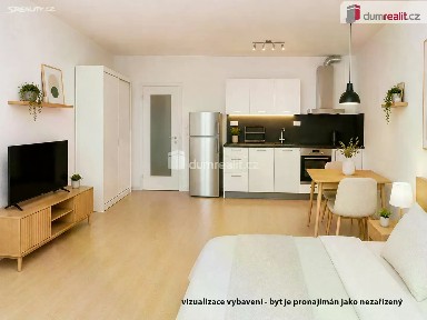 Pronájem bytu 1+kk 40 m² V mezihoří, Praha - Libeň