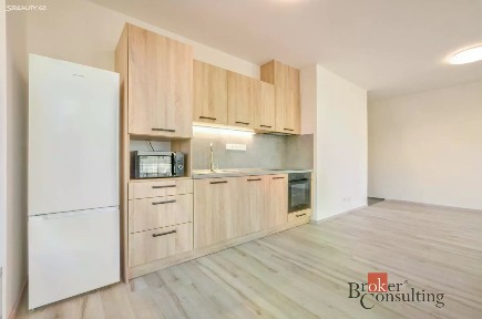 Pronájem bytu 2+kk 49 m² Krašovská, Plzeň - Bolevec