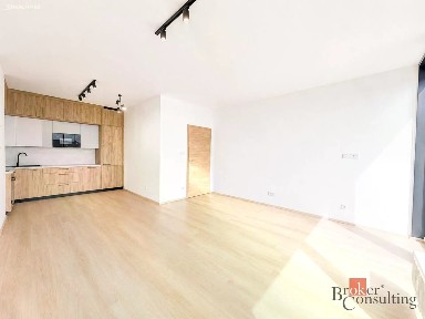 Pronájem bytu 2+kk 79 m² Železná, Plzeň - Jižní Předměstí