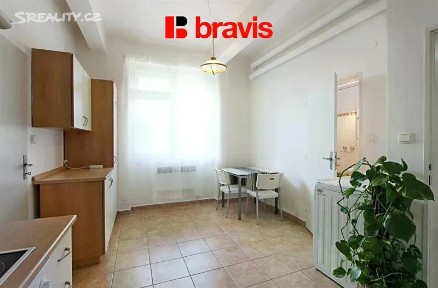Pronájem bytu 1+1 35 m² Lipová, Brno - Staré Brno