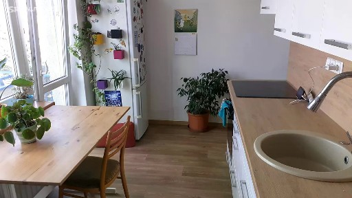 Pronájem bytu pokoje 20 m² Veveří, Brno - Žabovřesky