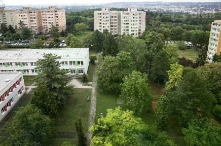 Krynická, Praha - Troja