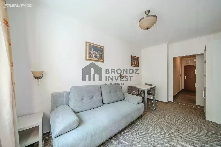 Pronájem bytu 1+1 22 m² Marie Cibulkové, Praha - Nusle
