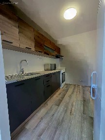 Pronájem bytu 1+kk 32 m² Cafourkova, Praha - Bohnice