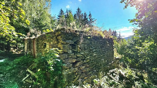 Prodej rodinného domu 300 m², pozemek 8000 m² Kořenov - Příchovice