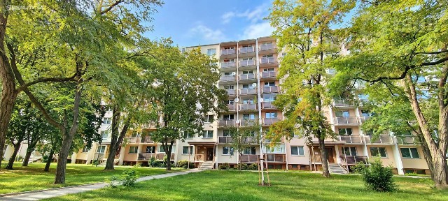 Prodej bytu 2+1 55 m² Novosady, Holešov