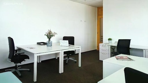 Pronájem kanceláře 15 m² Holandská, Brno - Štýřice