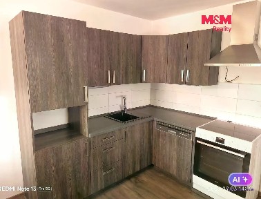 Pronájem bytu 1+kk 41 m² Družební, Ostrava - Krásné Pole