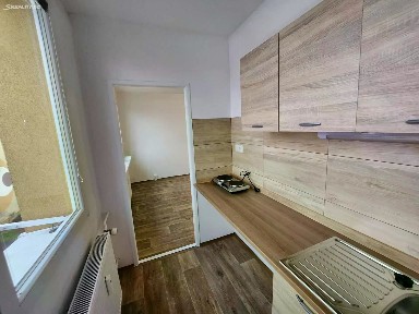 Pronájem bytu 1+1 26 m² Růžová, Most