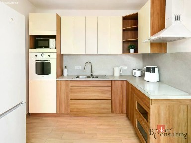 Pronájem bytu 1+kk 48 m² Topolová, Milovice - Mladá