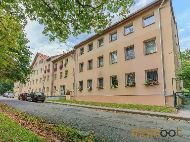 Pronájem bytu 1+1 40 m² Kaštanová, Milovice - Mladá