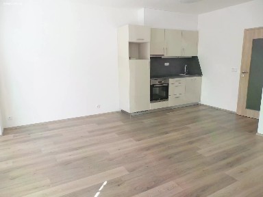 Pronájem bytu 1+kk 36 m² Mezi Vodami, Praha - Modřany