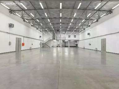 Pronájem skladového prostoru 1395 m² Ve žlíbku, Praha - Horní Počernice