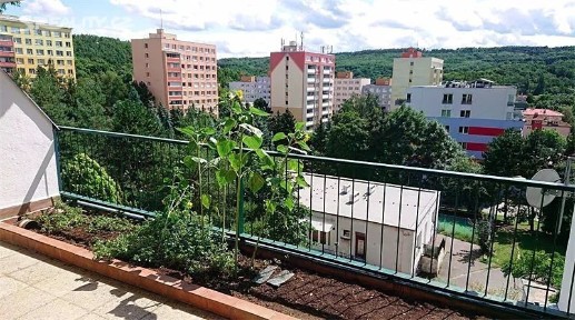 U Homolky, Praha - Motol