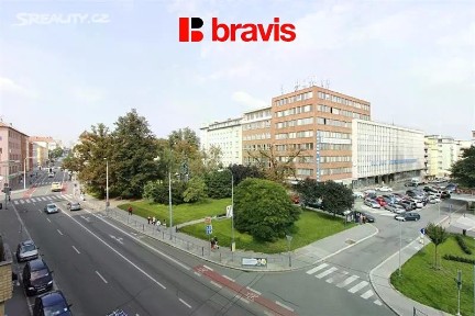 Pronájem bytu 1+1 50 m² Kounicova, Brno - Veveří