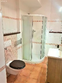 Pronájem bytu 1+kk 34 m² Tylova, České Budějovice - České Budějovice 7