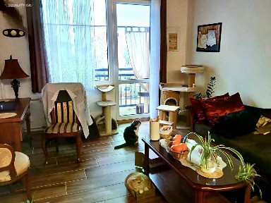 Prodej bytu 2+1 58 m²