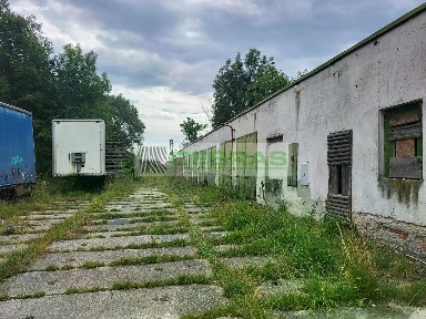 Pronájem skladového prostoru 291 m² Omlenice