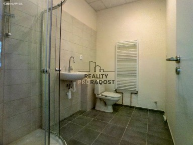 Pronájem bytu 1+1 40 m²
