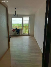 Pronájem bytu 1+kk 28 m² Výškovická, Ostrava