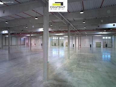 Pronájem výrobní haly, prostoru 5000 m²