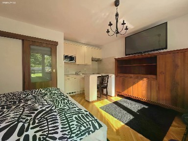 Prodej bytu 1+kk 31 m² Ukrajinská, Brno - Bohunice