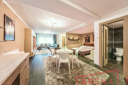 Pronájem bytu 1+kk 50 m² Žlutý kopec, Brno - Staré Brno