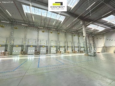 Pronájem výrobní haly, prostoru 7064 m²