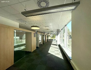 Pronájem obchodního prostoru 194 m²