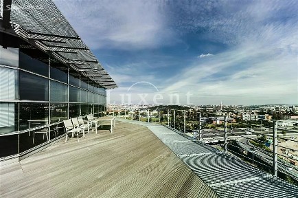 Pronájem kanceláře 303 m²