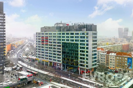 Pronájem kanceláře 320 m²