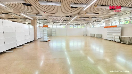 Pronájem obchodního prostoru 260 m²