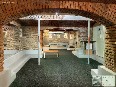 Pronájem obchodního prostoru 311 m²