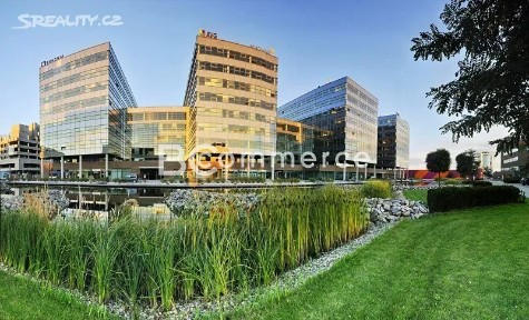 Pronájem kanceláře 273 m²