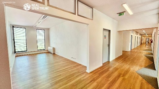 Pronájem kanceláře 442 m²