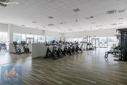 Pronájem obchodního prostoru 518 m²