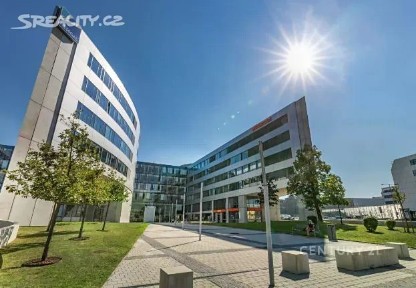 Pronájem kanceláře 650 m²