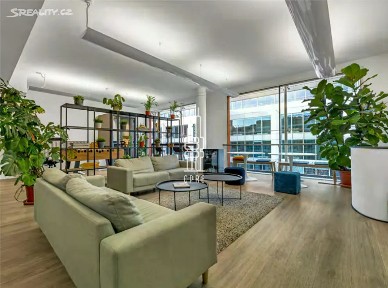 Pronájem kanceláře 546 m²