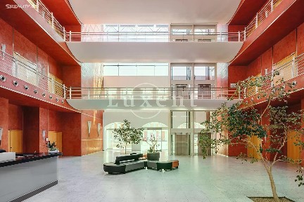 Pronájem kanceláře 416 m²
