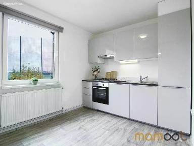 Pronájem bytu 2+1 50 m²