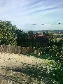 Žatec
