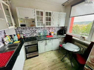 Prodej bytu 3+1 69 m² Javorová, Most