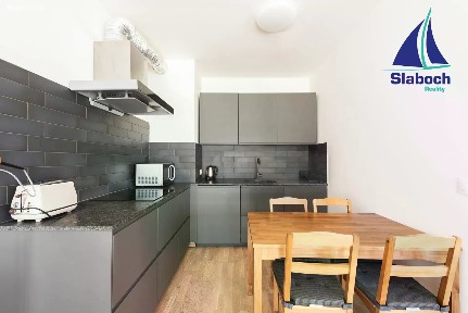 Pronájem bytu 1+kk 45 m² Breitfeldova, Praha - Karlín
