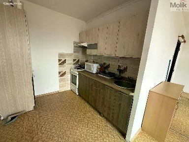 Pronájem bytu 1+kk 32 m² Lidická, Most