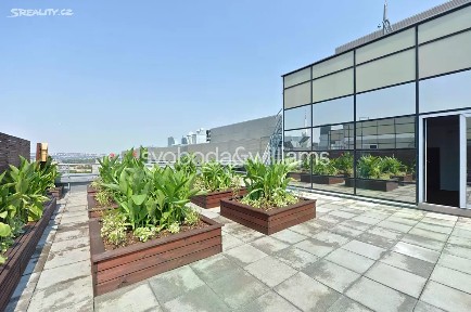 Pronájem kanceláře 387 m²