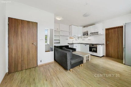 Pronájem bytu 1+1 32 m² Fibichova, Jihlava