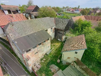 Oslnovice