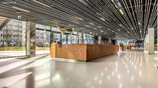 Pronájem kanceláře 520 m²
